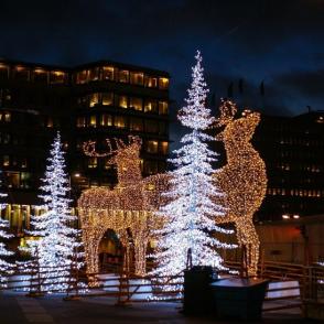Рождественский экспресс в Калининград АВИА